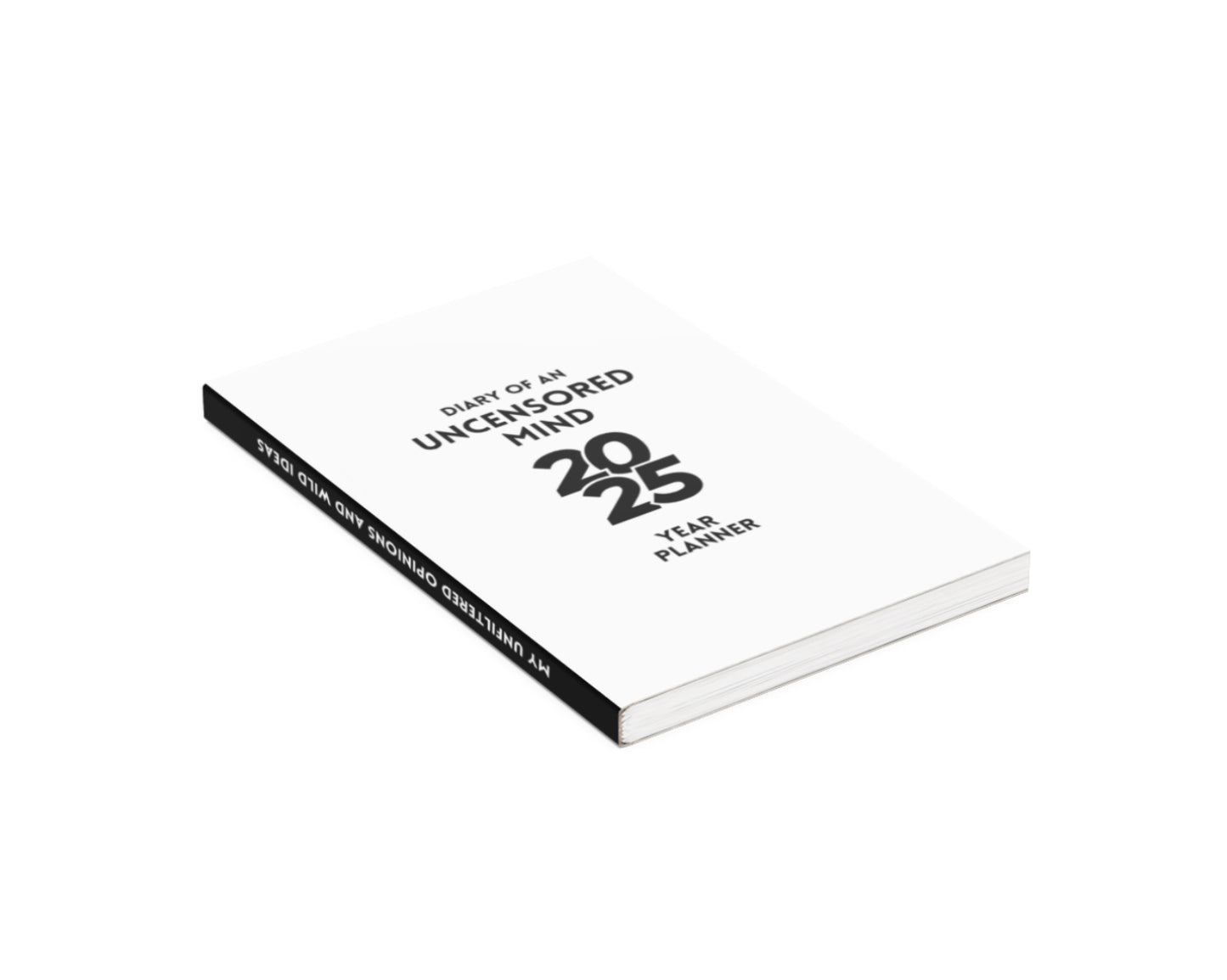 Diary of an Eccentric Mastermind